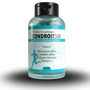 Condroit500 capsule