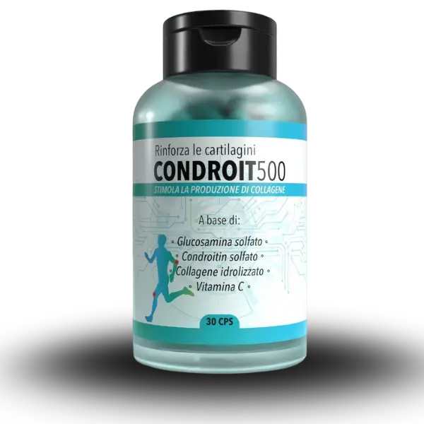 Condroit500 capsule